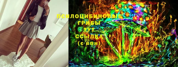 ешки Аркадак
