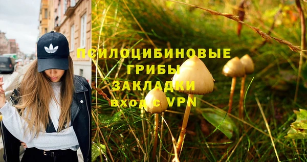 Альфа ПВП Армянск