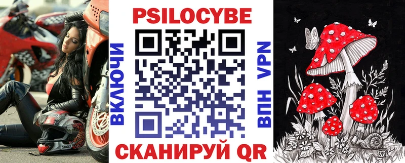 Галлюциногенные грибы Cubensis  Сосновый Бор 